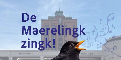 De Maerelingk zingk! 🐦‍⬛
