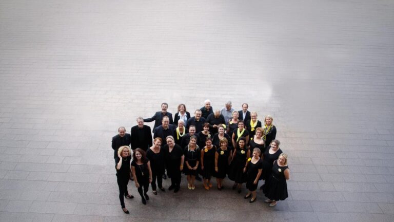 De Maerelingk! — theater in Roermond