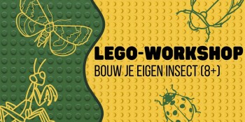 Lego-workshop: bouw je eigen insect — familie-kids in Roermond